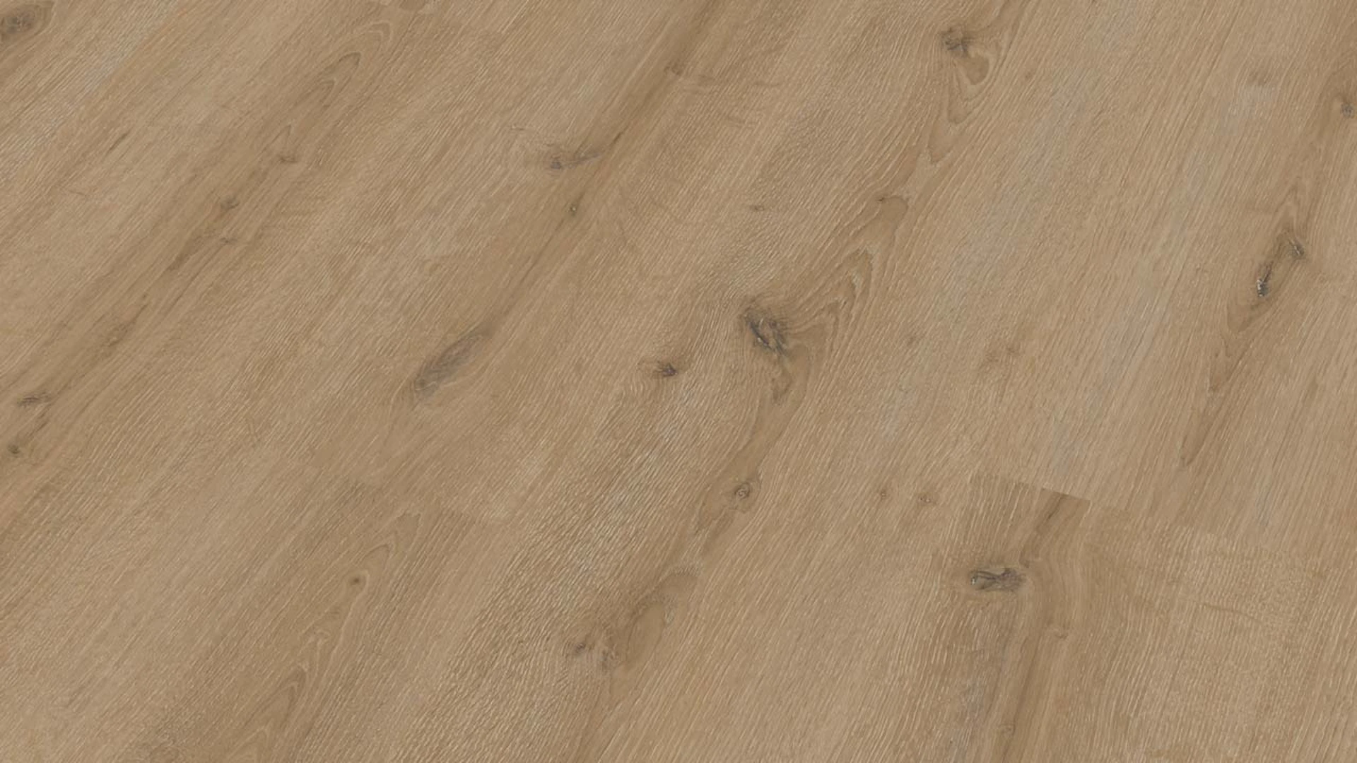 MEISTER Laminate flooring - MeisterDesign LC 150 Cream oak 7120 | synchronised embossing (600014-1288198-07120)