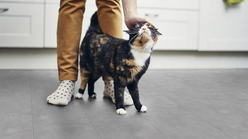 Gerflor Klick Vinyl - Senso Clic 3 Manhatten Clear | Made in France (61210511)