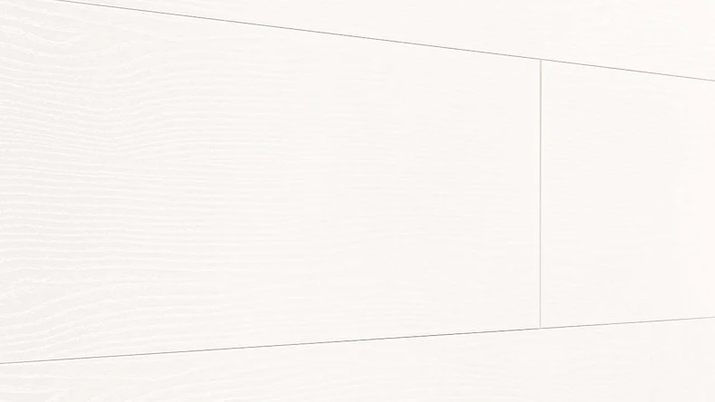 MeisterPanels lambris décor - Terra DP 200 Corona 4087