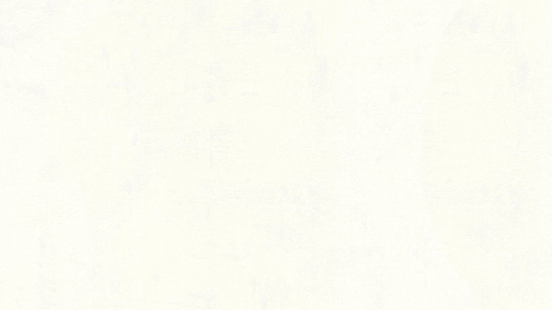 papier peint vinyle blanc moderne uni used look 040