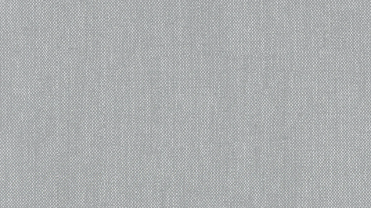 Vinyltapete grau Klassisch Uni Styleguide Natural Colours 2021 022