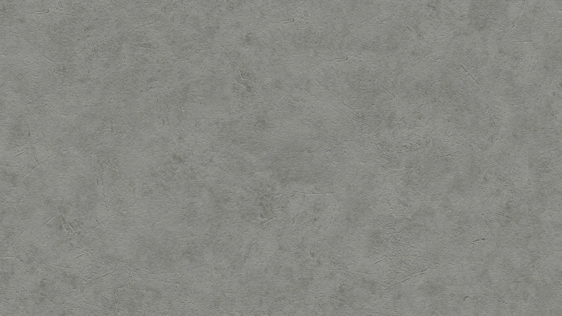 carta da parati in vinile grigio moderno pianure MeisterVlies 5 555