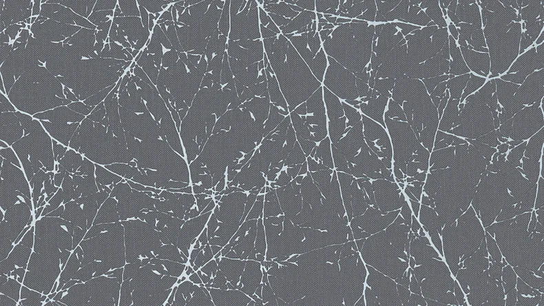 Tapete Elegance 3 A.S. Création Vintage Vintage Äste Grau Metallic 072