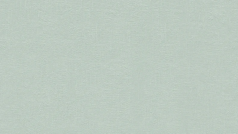 Vinyltapete Daniel Hechter 5 Living Unifarbenwalls Unifarben Betonoptik Grün 802