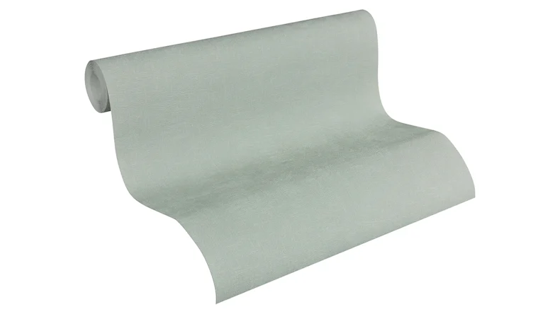 Vinyltapete Daniel Hechter 5 Living Unifarbenwalls Unifarben Betonoptik Grün 802