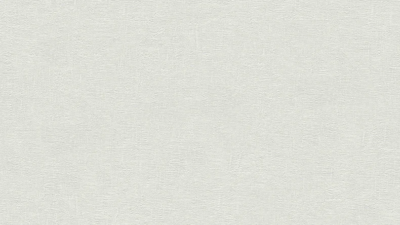 Carta da parati in vinile Bianco e Nero 4 A.S. Création tinta unita cemento aspetto grigio 805