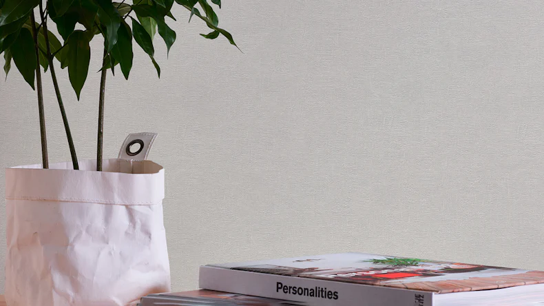 Carta da parati in vinile Bianco e Nero 4 A.S. Création tinta unita cemento aspetto grigio 805