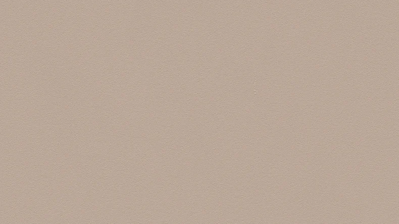 papier peint en vinyle beige classique uni Couleurs du monde 167
