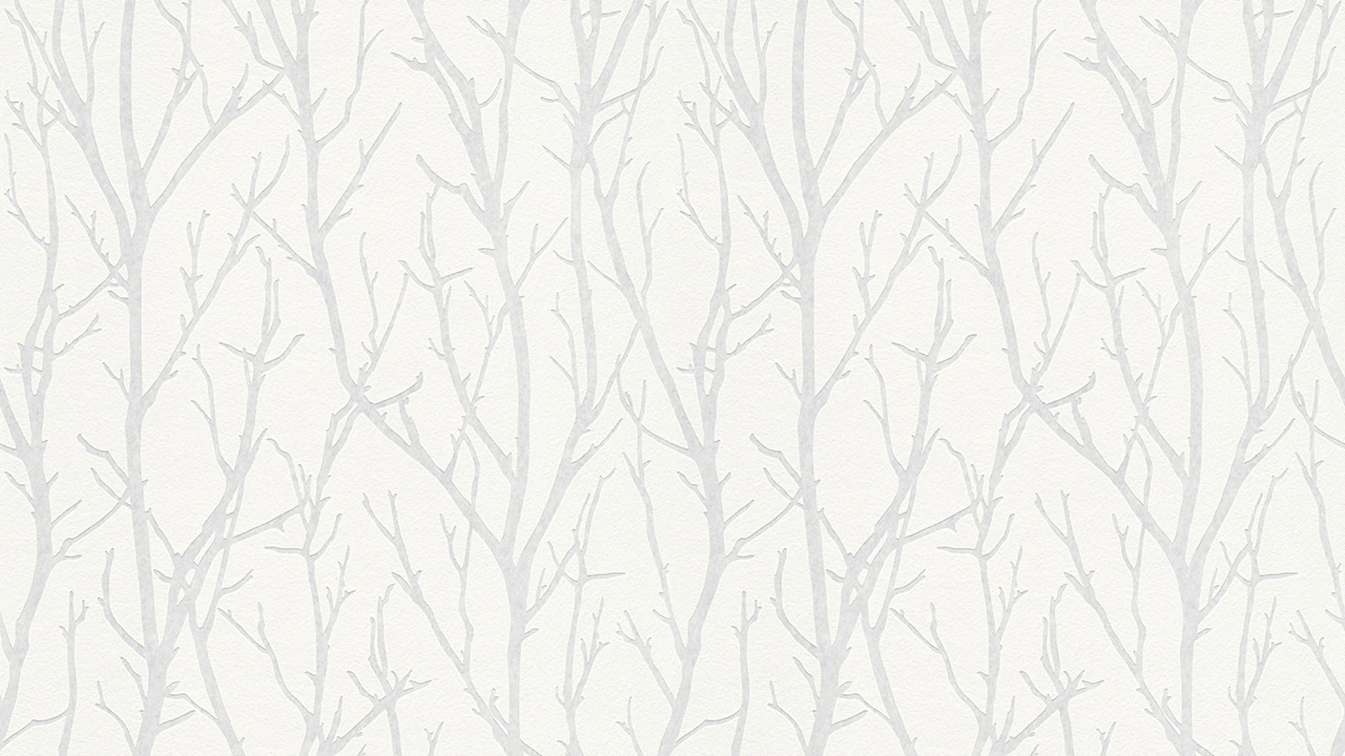 Vinyl wallpaper white modern vintage flowers & nature Meistervlies 2020 114