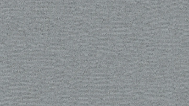 Carta da parati in tessuto non tessuto Alpha Architects Carta a tinta unita grigio 742