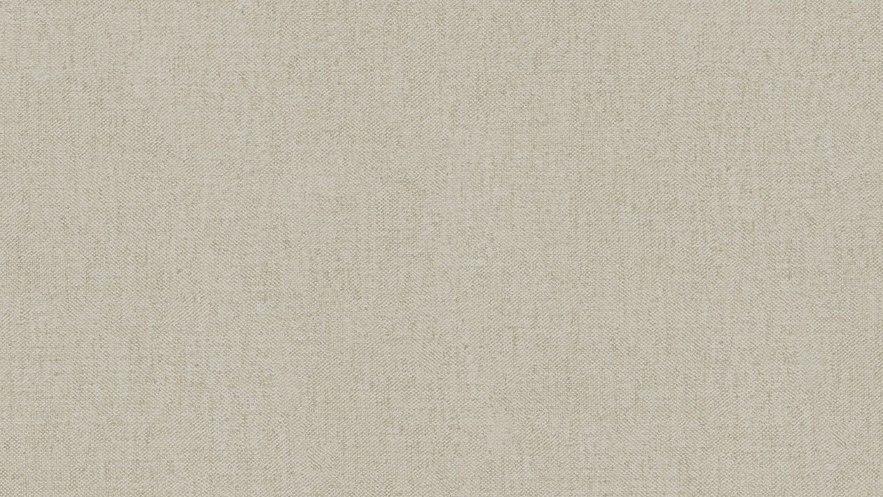 Carta da parati in tessuto non tessuto Alpha Architects Carta a tinta unita beige 743