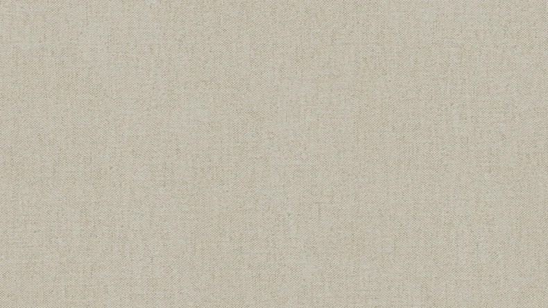 Carta da parati in tessuto non tessuto Alpha Architects Carta a tinta unita beige 743