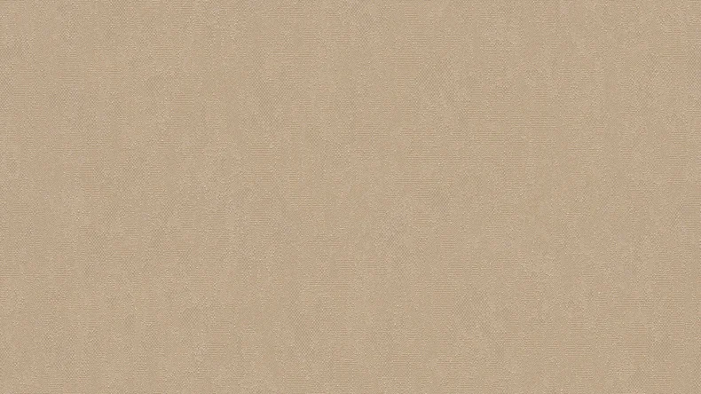 Carta da parati vinilica Castello Architects Carta tinta unita metallizzata 404