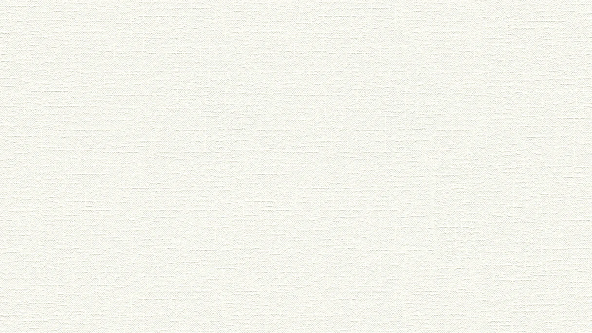 Papier peint vinyle blanc classique uni maître plâtre 15 m 381