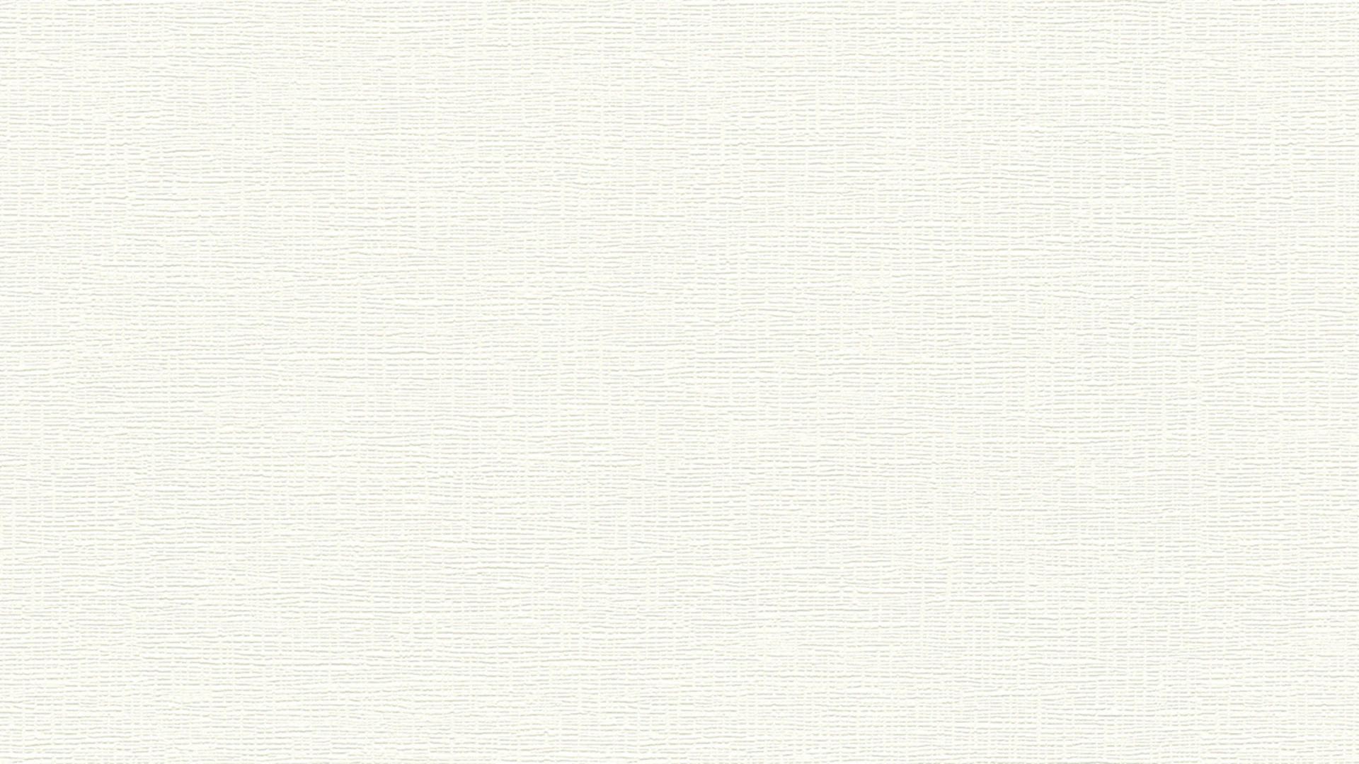 Papier peint vinyle blanc classique uni plâtre maître 15 m 910