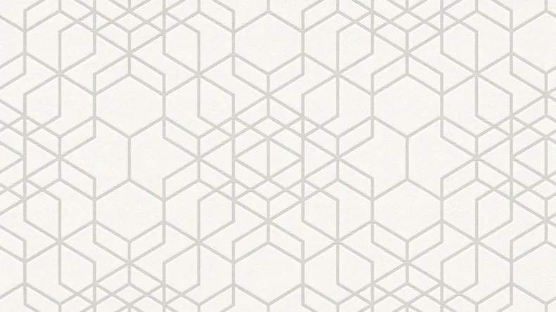 Vinyltapete weiß Modern Ornamente Black & White 691