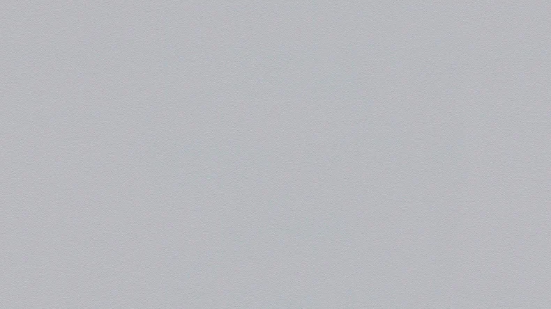 Vinyltapete grau Klassisch Uni Styleguide Natural Colours 2021 320