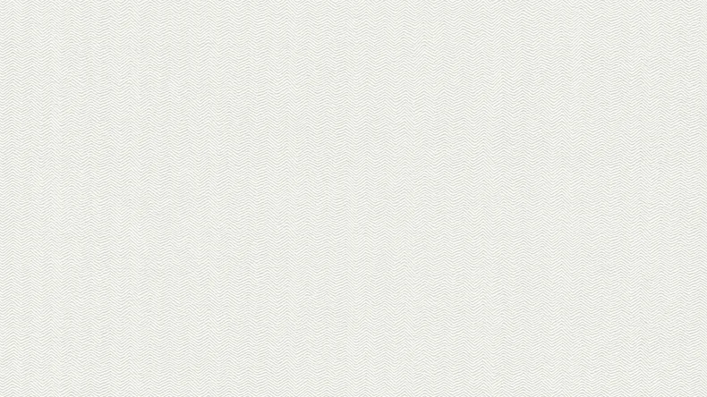 Vinyltapete weiß Modern Uni Meistervlies 2020 521