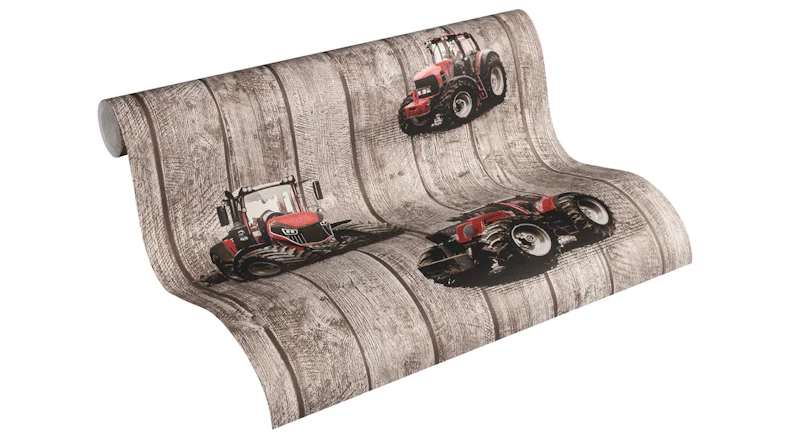 Vliestapete braun Modern Kinder Kinder Blumen & Natur Little Stars 401