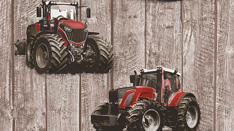 Vliestapete braun Modern Kinder Kinder Blumen & Natur Little Stars 401