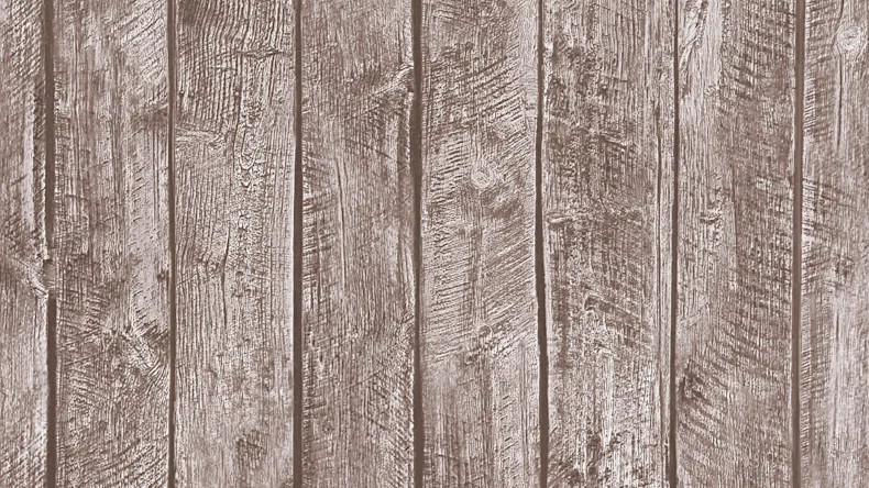 Vliestapete braun Modern Kinder Kinder Blumen & Natur Little Stars 411