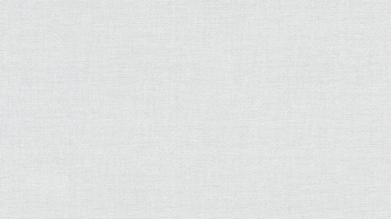 Carta da parati in vinile Bianco e Nero 4 A.S. Création tinta unita grigio 932