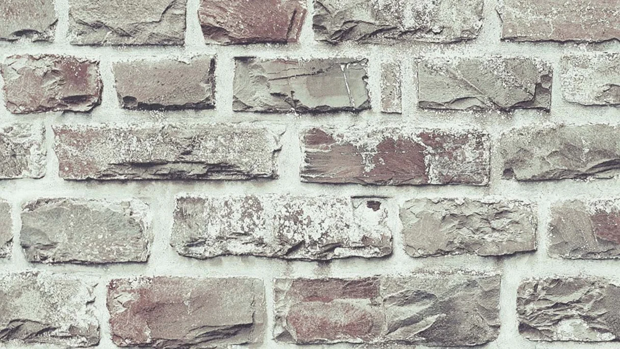 Non-woven wallpaper single leaf stones classic grey 401