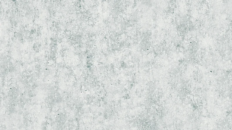 Carta da parati in vinile calcestruzzo Concrete & More A.S. Création calcestruzzo moderno aspetto grigio 551