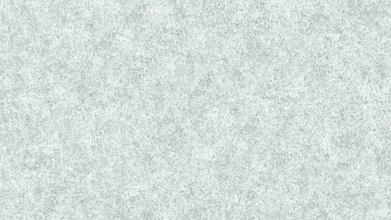 Vinyltapete grau Modern Klassisch Uni Neue Bude 2.0 076