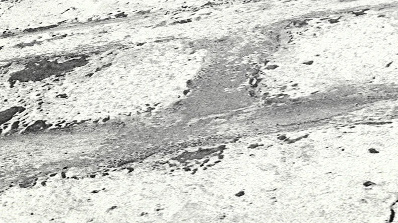 papier peint en vinyle papier peint en pierre blanc moderne classique pierres fleurs & nature Il Decoro 802