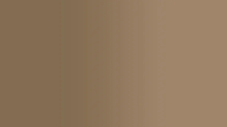 Vinyltapete Steintapete beige Vintage Steine Elements 703