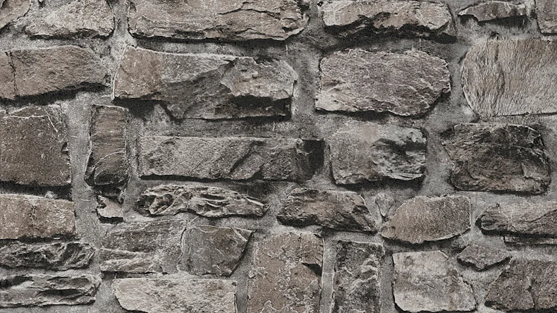 Vinyltapete Steintapete schwarz Modern Steine Blumen & Natur Bilder Il Decoro 704