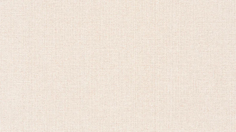Vinyltapete beige Modern Klassisch Uni Hygge 786