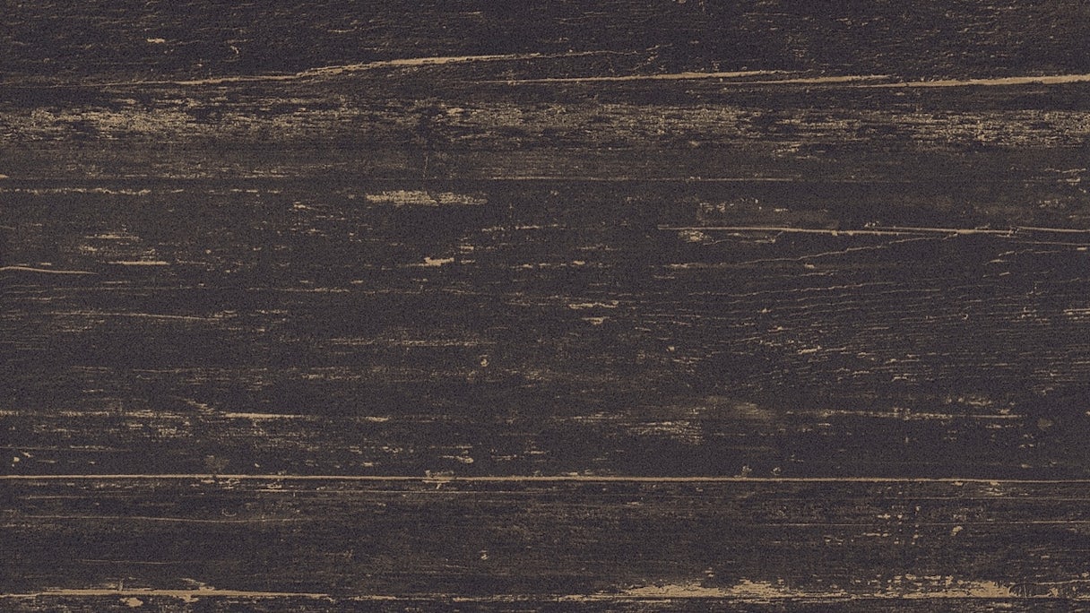 Vinyltapete schwarz Modern Klassisch Holz California 941