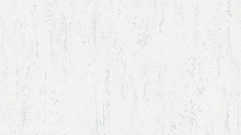 Carta da parati in vinile calcestruzzo Concrete & More A.S. Création tinta unita calcestruzzo aspetto grigio 302