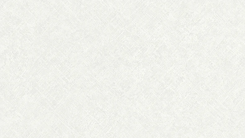 Vinyltapete Beton Concrete & More A.S. Création Unifarben Betonoptik Grau Weiß 641