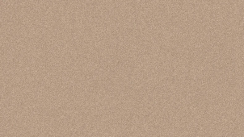 papier peint Dream Again Michalsky Living plain brown 044
