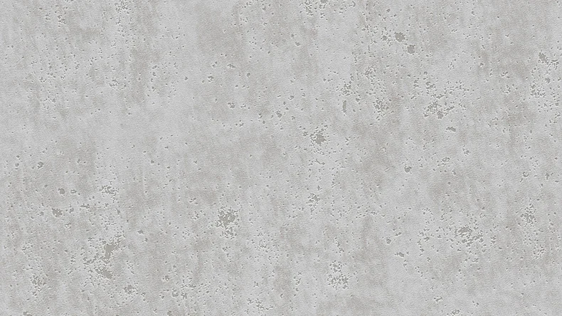 Carta da parati in vinile calcestruzzo Concrete & More A.S. Création tinta unita calcestruzzo aspetto grigio 004