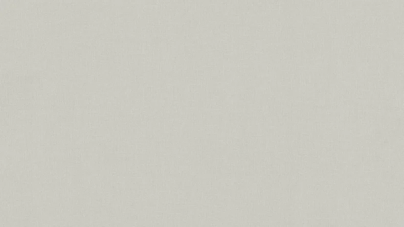 Vinyltapete grau KlassischModern Uni Scandinavian 2 252