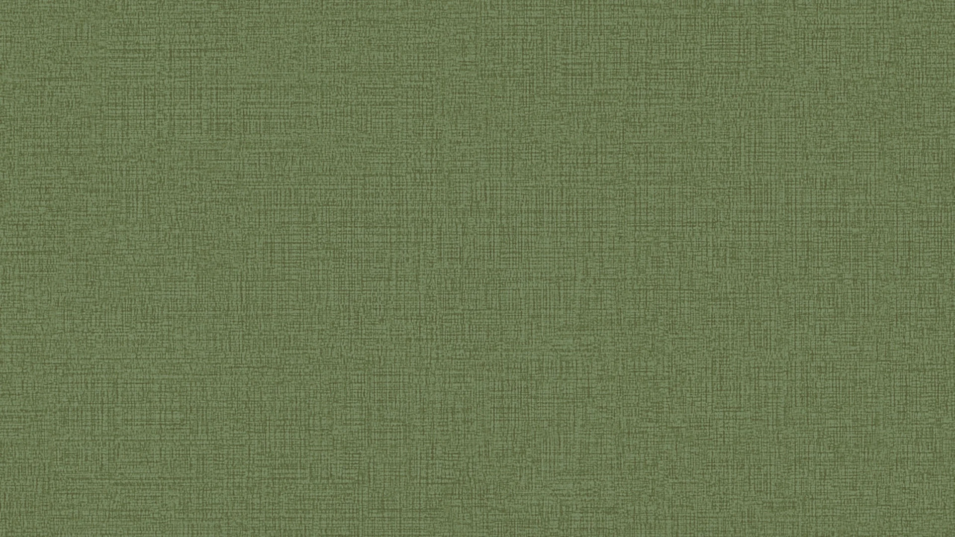 Vinyltapete grün Modern Klassisch Uni Character 773