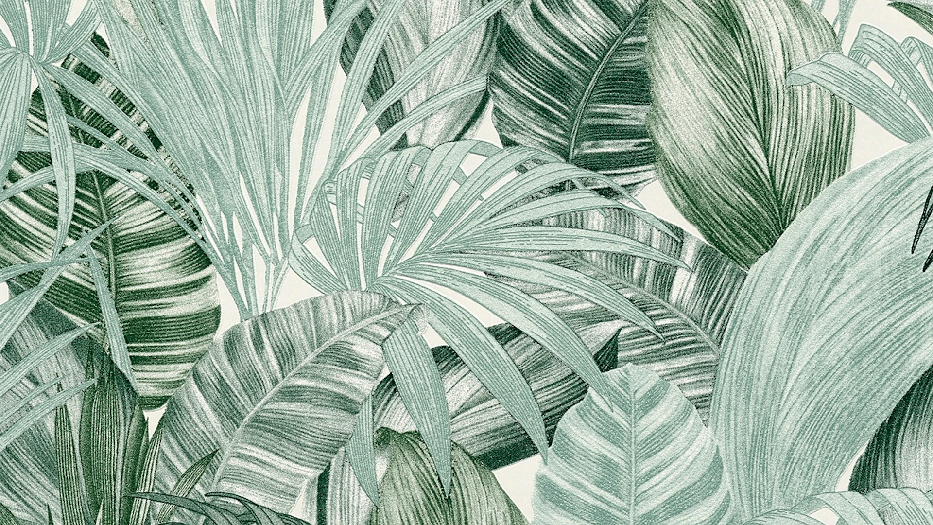 Vinyltapete Greenery A.S. Création Landhausstil Palmenblätter Grün Weiß 201