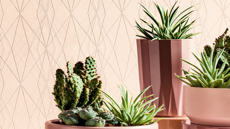 fond d'écran Emotion Graphic A.S. Création Modern Beige Pink 796