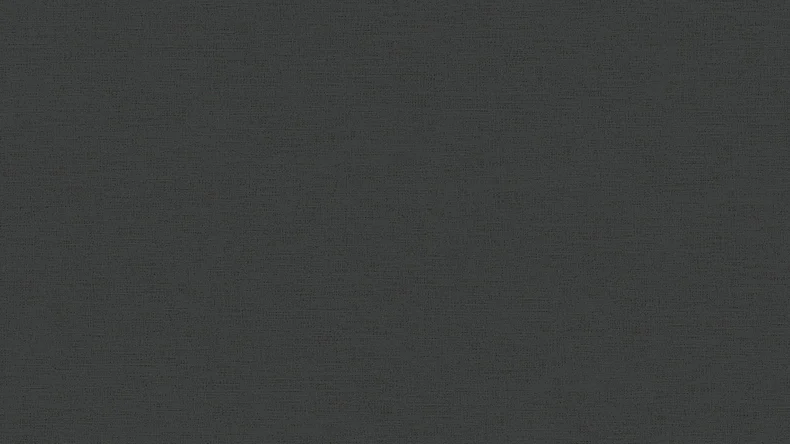 Vinyltapete schwarz Retro Klassisch Uni Ethnic Origin 781