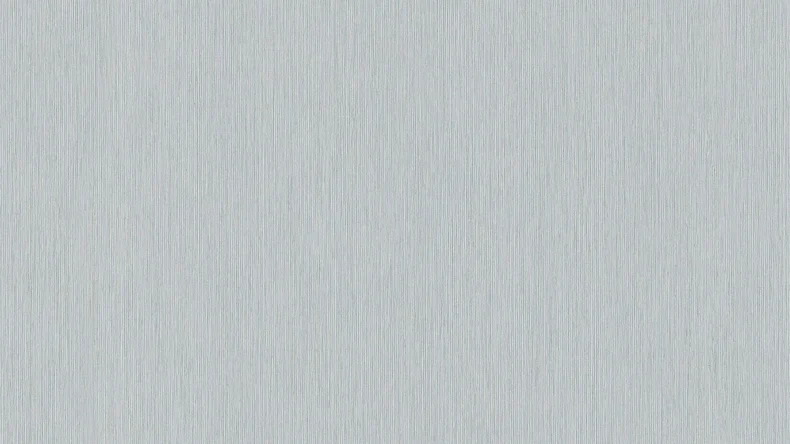 Vinyltapete grau Modern Klassisch Uni Sumatra 752