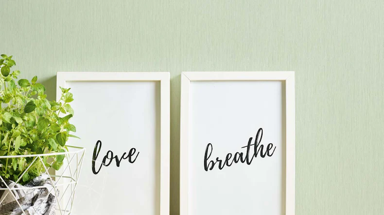 Vinyltapete grün Modern Klassisch Uni Sumatra 755