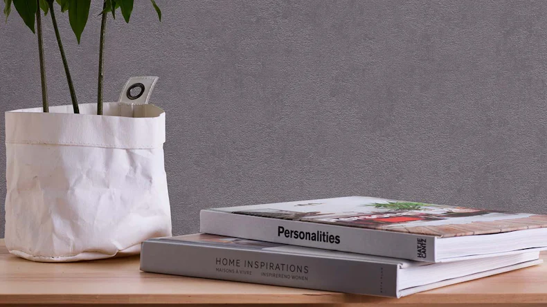 Vinyltapete grau Modern Klassisch Uni New Walls 184