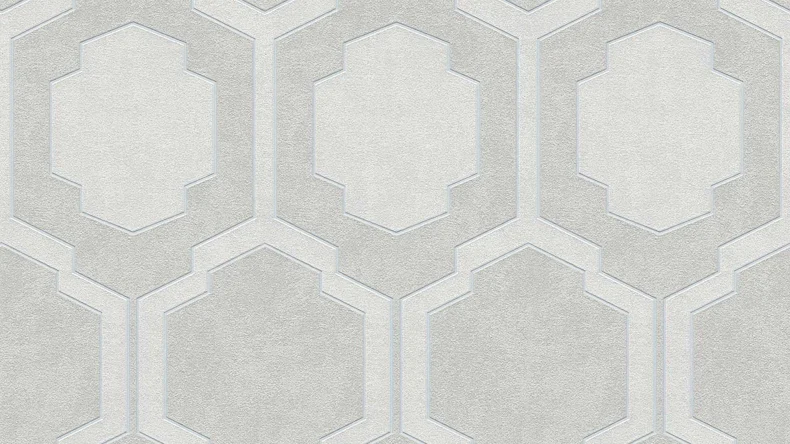 Vinyltapete grau Modern Retro Ornamente Streifen Pop Style 792