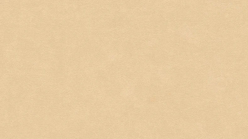 papier peint en vinyle beige moderne uni pop style 056