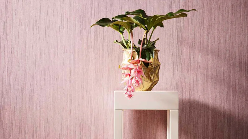 Vliestapete VILLA Uni Klassisch Rosa 595