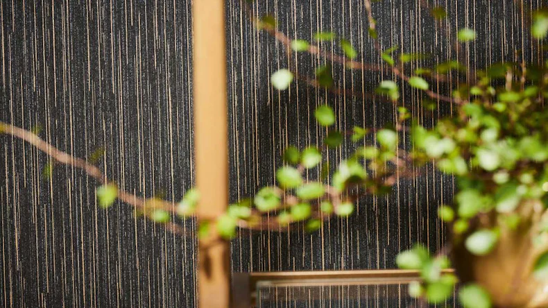 Vliestapete VILLA Uni Klassisch Schwarz 598